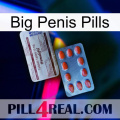 Big Penis Pills 36